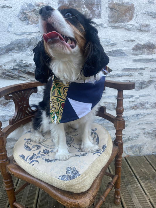Bandana pour chien - FANCY TED