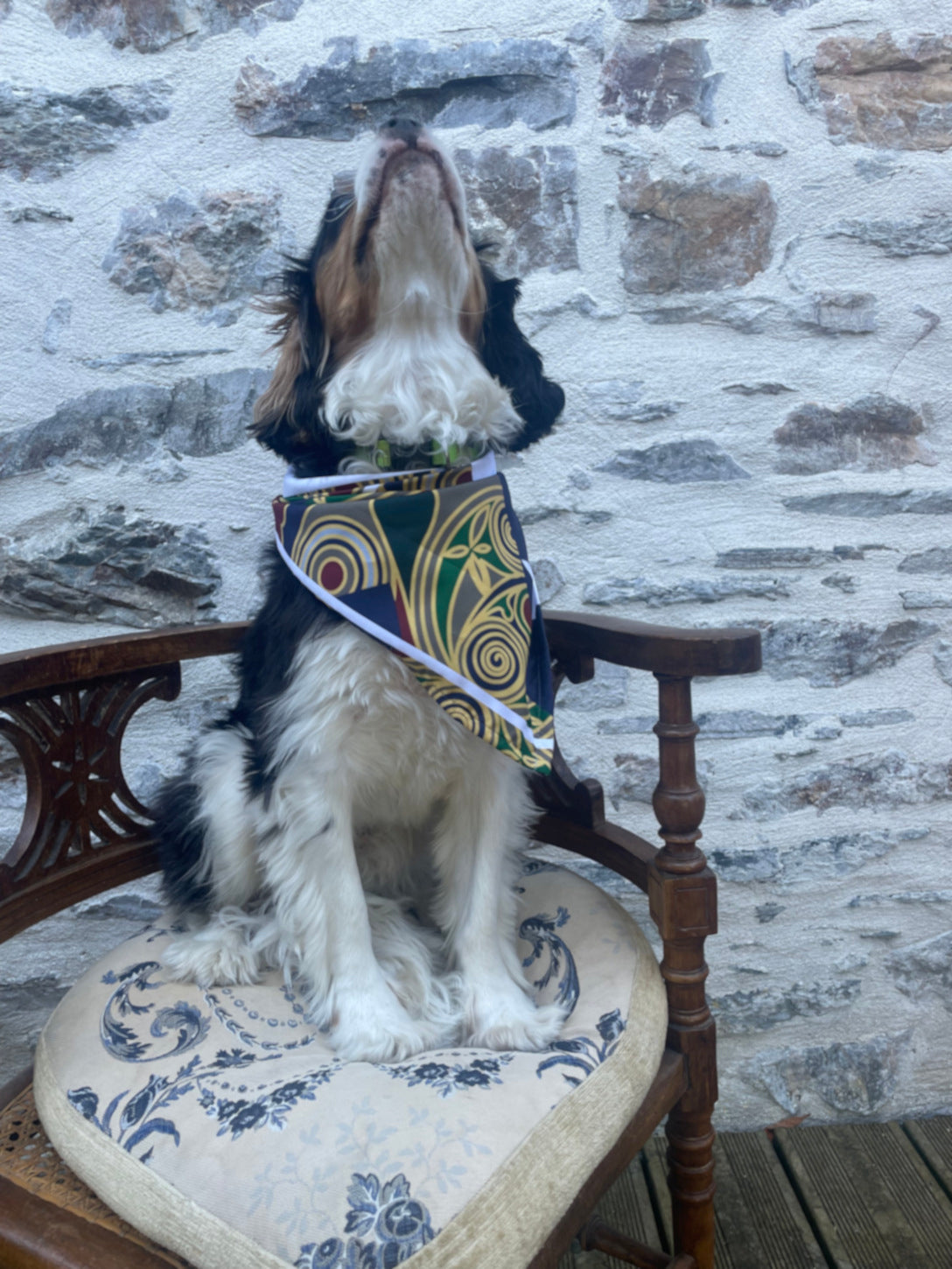 Bandana pour chien - FANCY TED