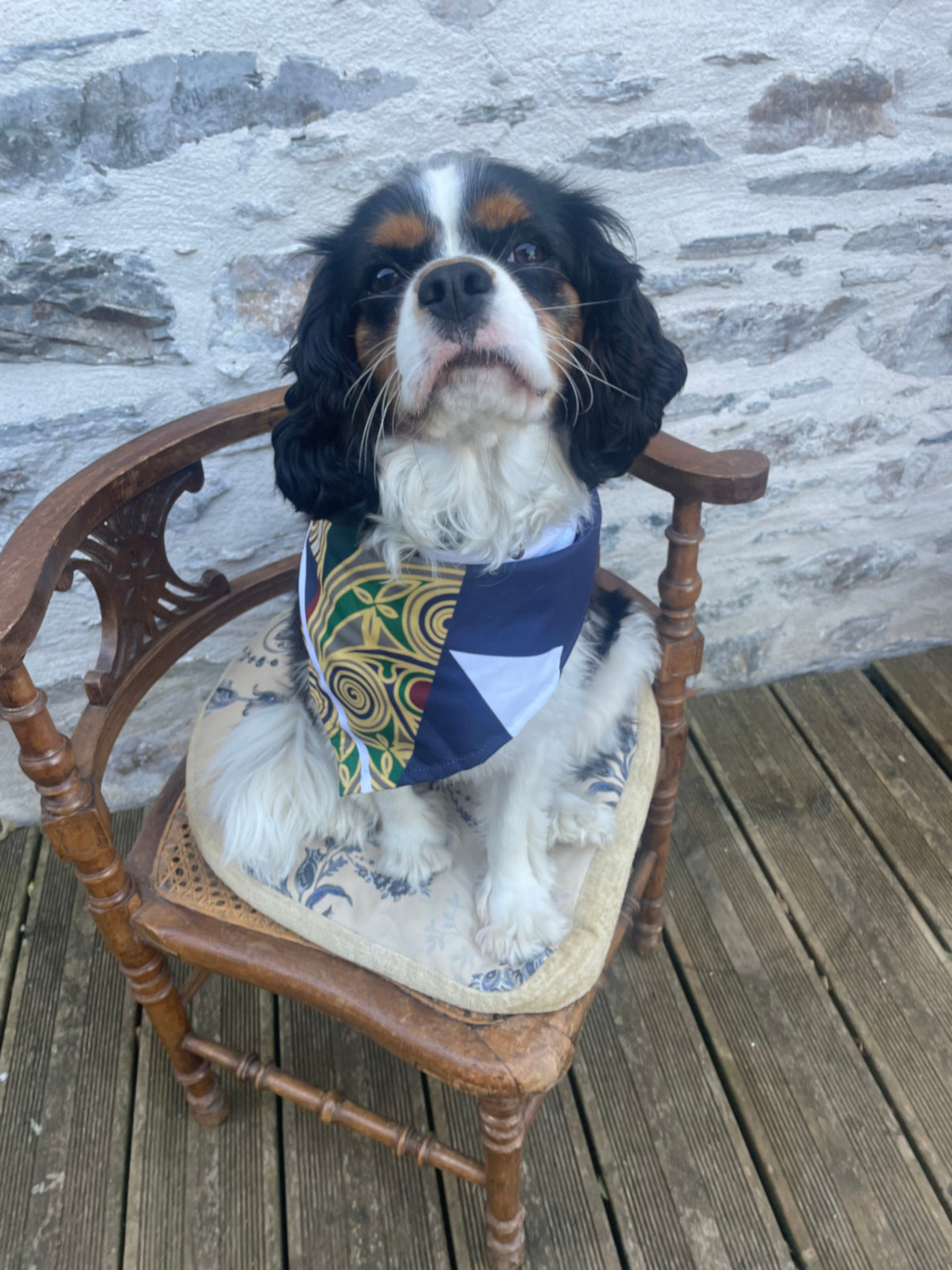 Bandana pour chien - FANCY TED