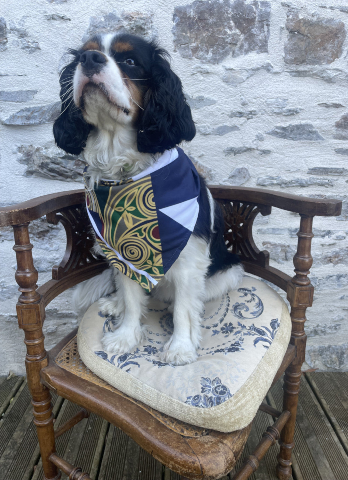 Bandana pour chien - FANCY TED