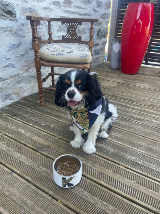 Gamelle de luxe pour animal - Gourmet TED