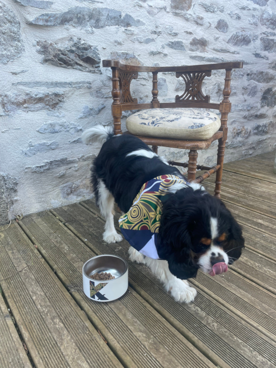 Gamelle de luxe pour animal - Gourmet TED