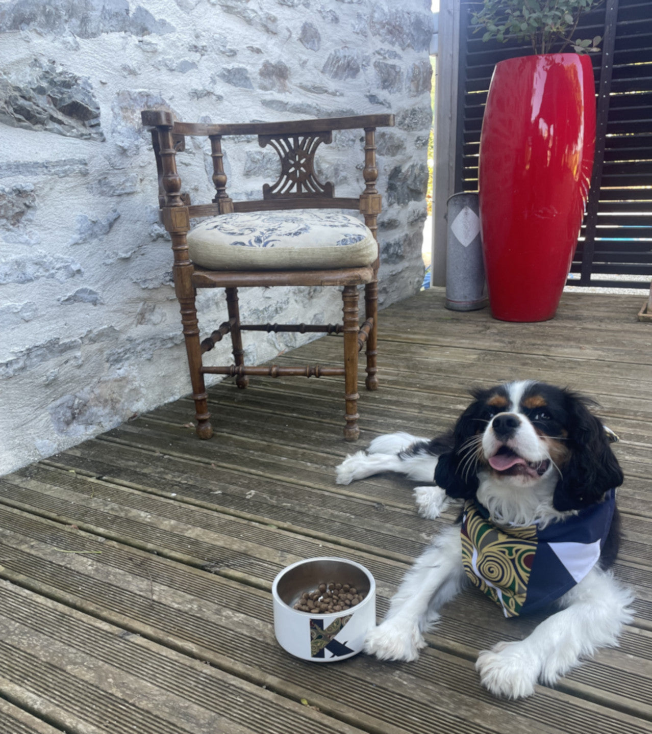 Gamelle de luxe pour animal - Gourmet TED